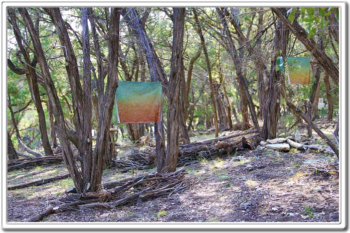 Land Art