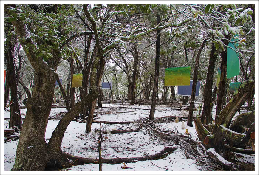 Land Art Austin