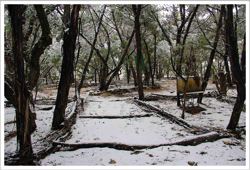 Land Art Austin