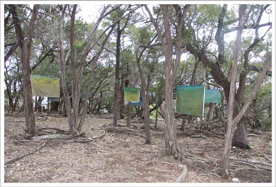 Land Art Works