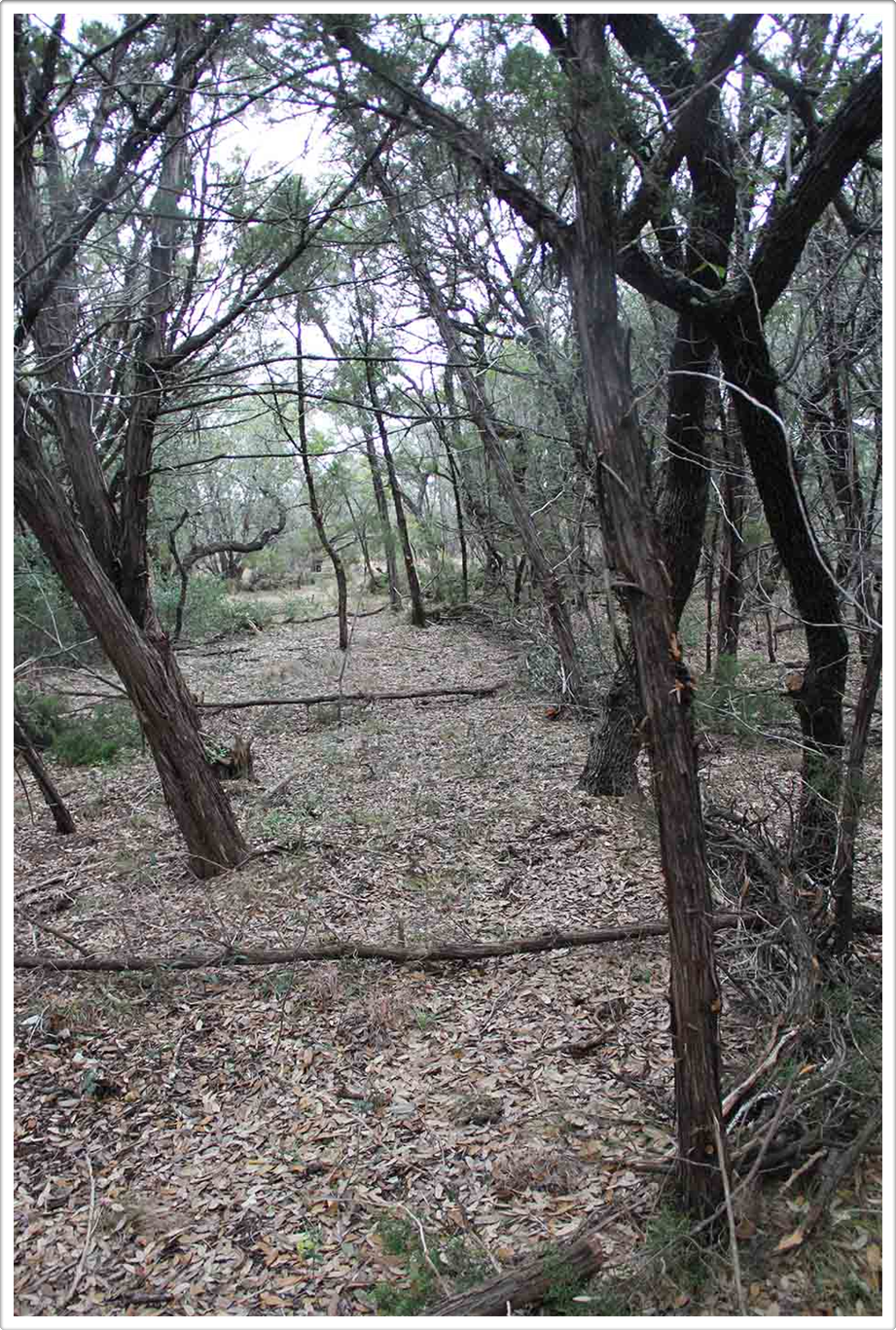 Land Art Land