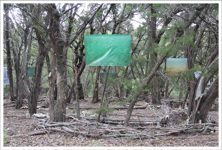 Land Art Exhibit