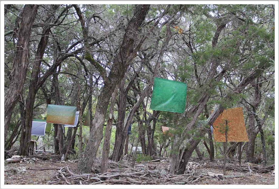 Land Art Exhibit
