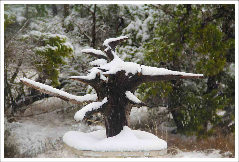 Land Art Photo